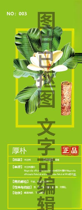 厚朴