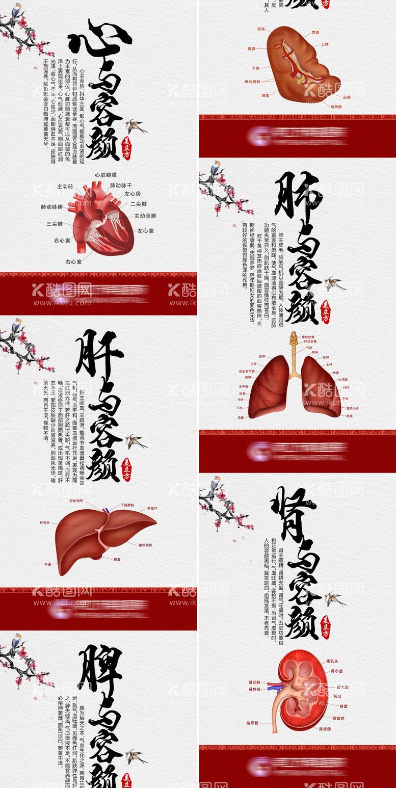 编号：68163911251836196804【酷图网】源文件下载-医美中医科普系列海报