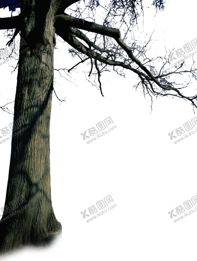 编号：77856707141558027032【酷图网】源文件下载-枯树前景树