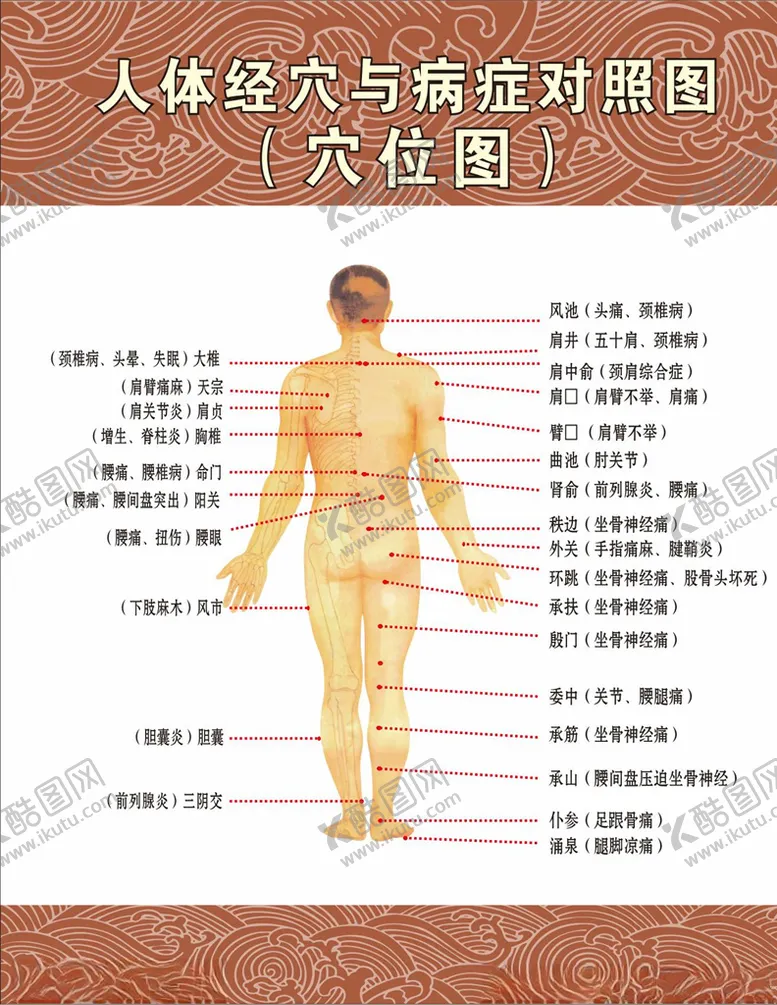 编号：24602705042059455601【酷图网】源文件下载-穴位图
