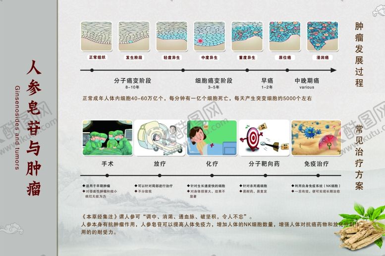 编号：80198802070919067235【酷图网】源文件下载-人参医疗展板
