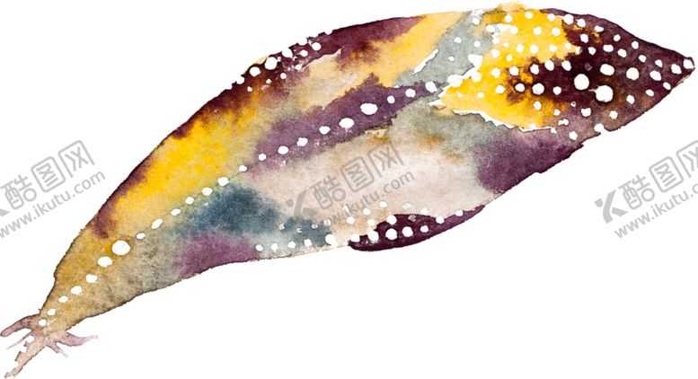 编号：33073309241725027516【酷图网】源文件下载-手绘水彩羽毛