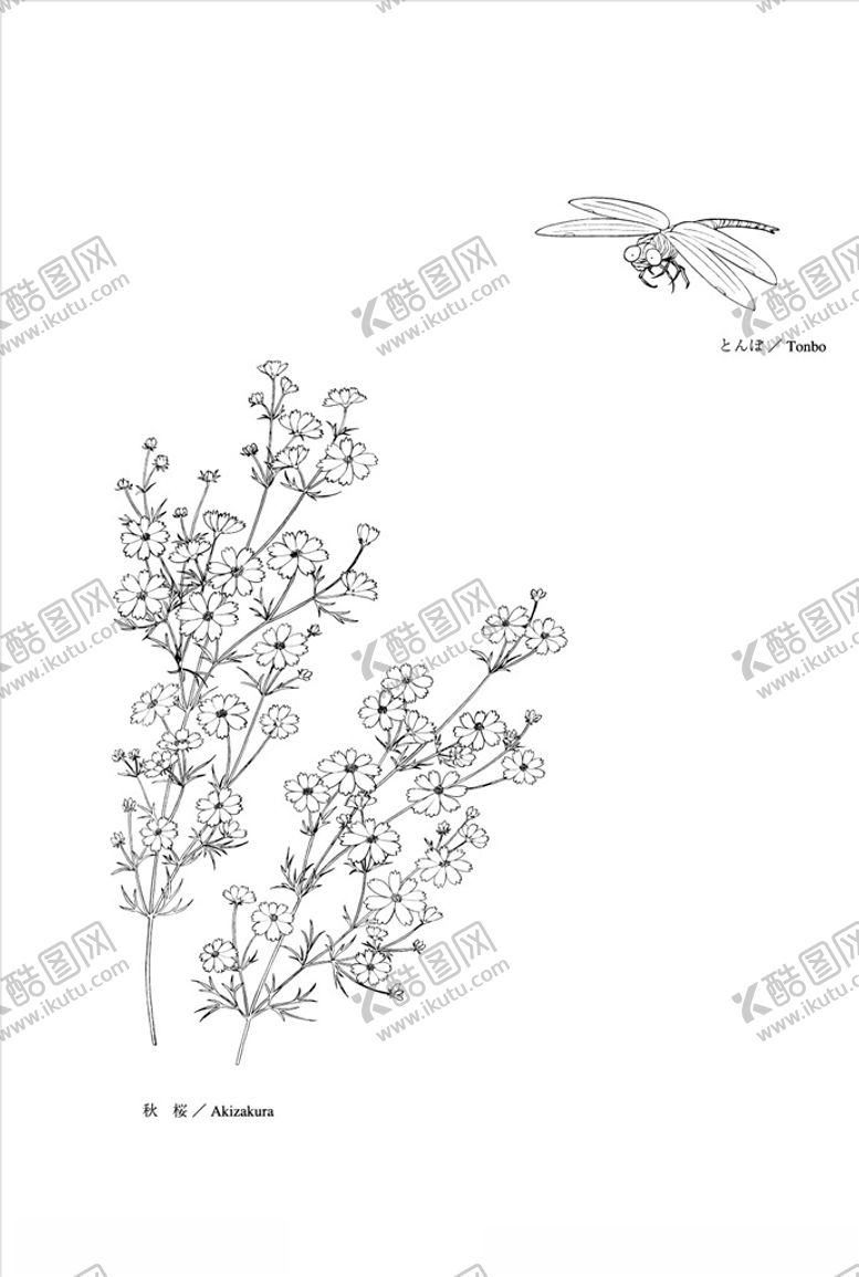 编号：43790010301141584746【酷图网】源文件下载-线描花朵