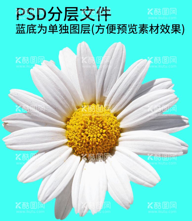 编号：47368110012128137196【酷图网】源文件下载-鲜花花朵png免扣素材