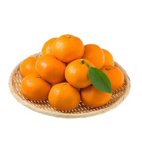 蜜桔