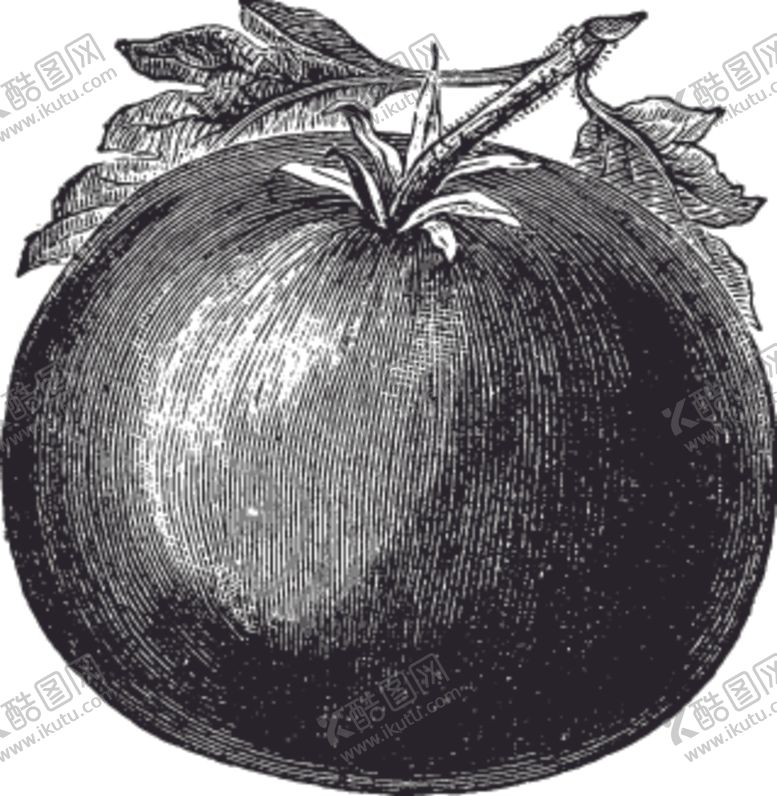 编号：26651710150121411346【酷图网】源文件下载-素描手绘蔬菜