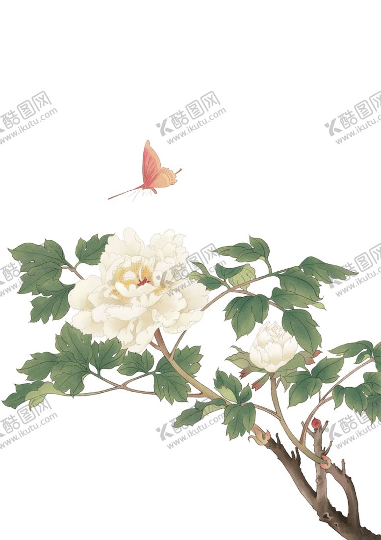 编号：65189209291746002745【酷图网】源文件下载-牡丹