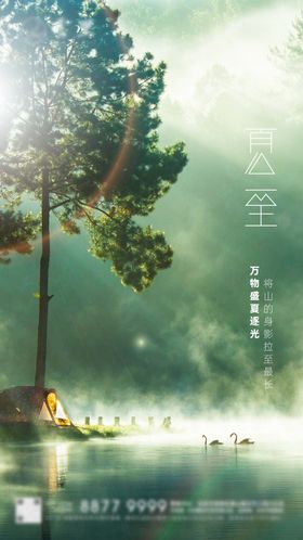 夏至刷屏
