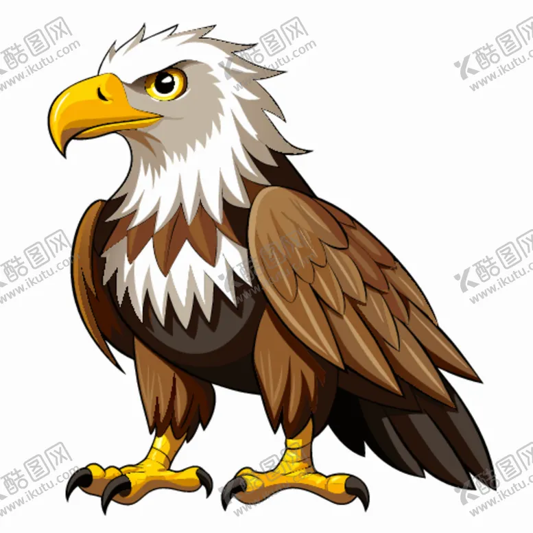 编号：84535101260553062642【酷图网】源文件下载-拟真风格老鹰