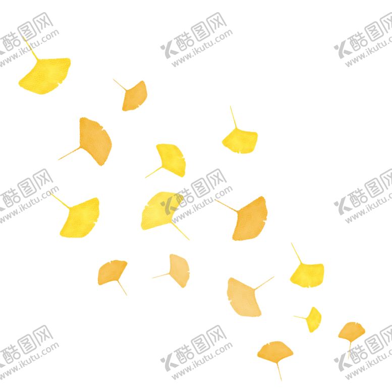 编号：18483704201251231733【酷图网】源文件下载-秋天银杏叶