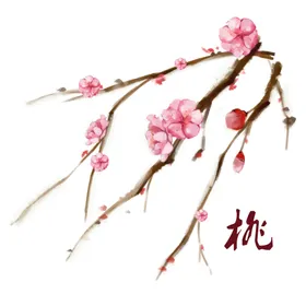 手绘粉色桃花免扣素材图片水彩朵海工笔画朵国画