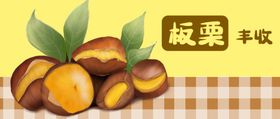 插画素材橘子卡通植物植物