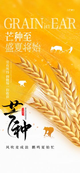 芒种
