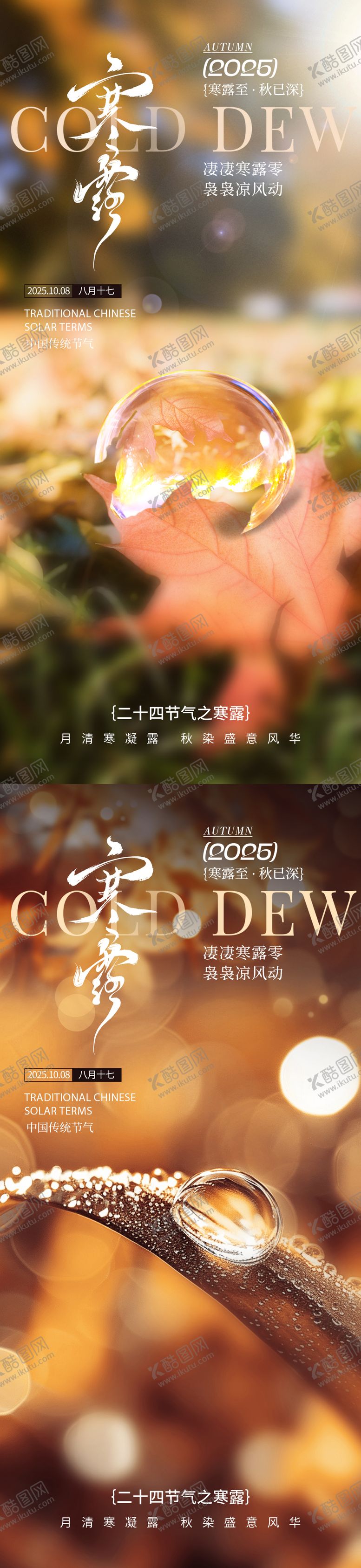 编号：97836209301716308577【酷图网】源文件下载-寒露节气海报