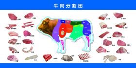 牛肉分割部位图