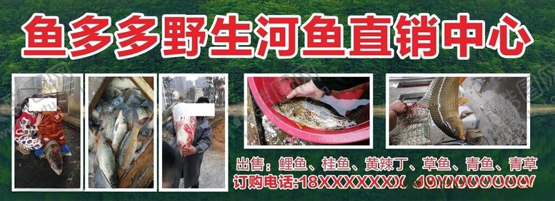 编号：26671202101222493339【酷图网】源文件下载-野生河鱼