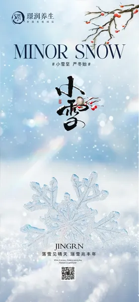 小雪节气海报