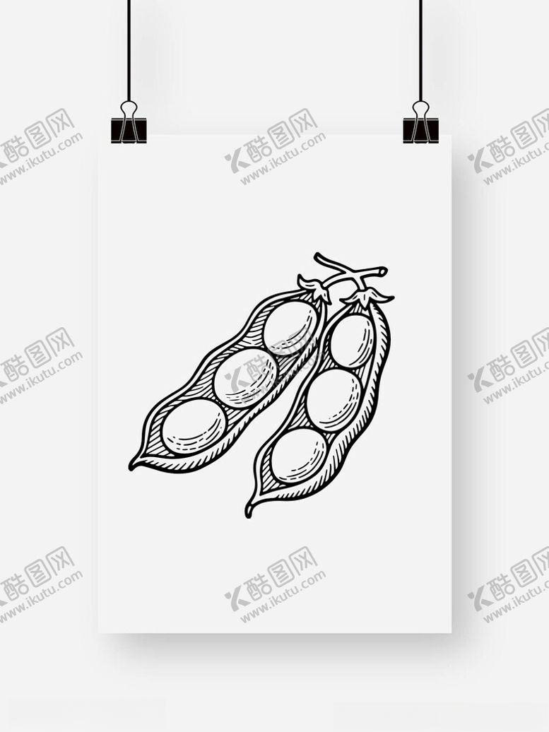 编号：82490009250638135501【酷图网】源文件下载-豆荚豌豆