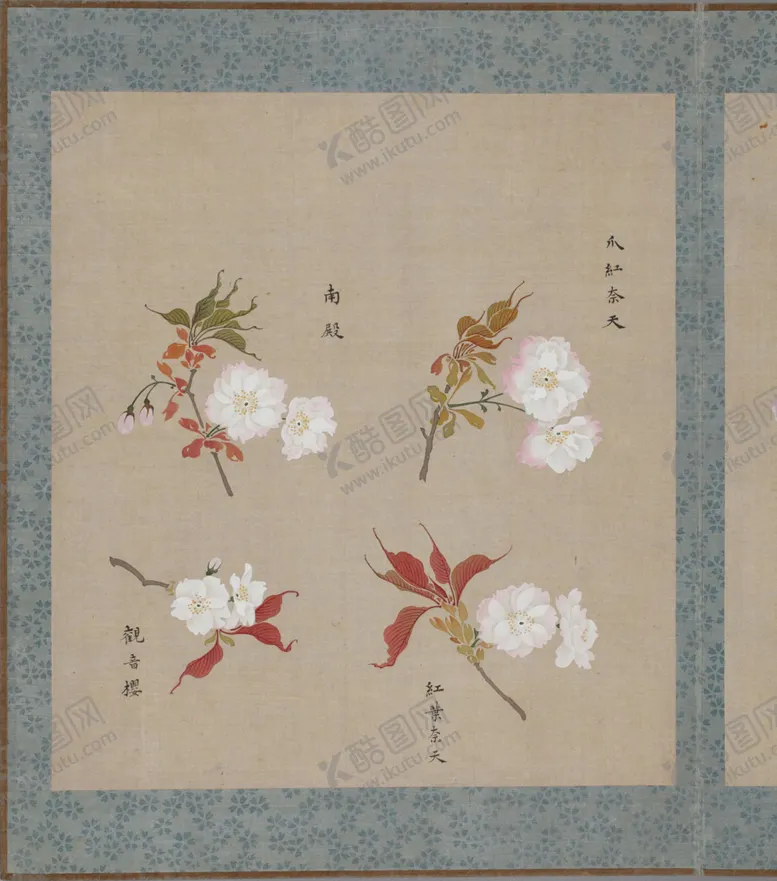 编号：50805404062106242836【酷图网】源文件下载-樱花