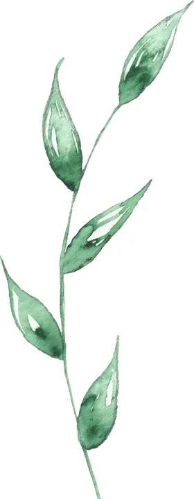 海报元素花草元素展架元素手绘植物枫叶