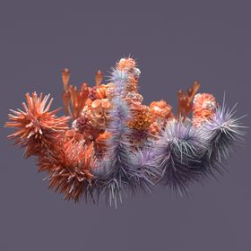 c4d场景
