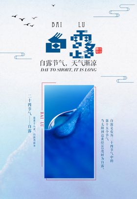 白露海报