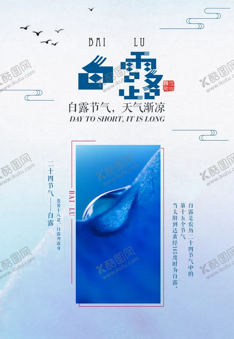 编号：62200205080525056311【酷图网】源文件下载-白露白露海报