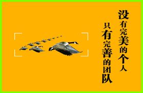 团队精神