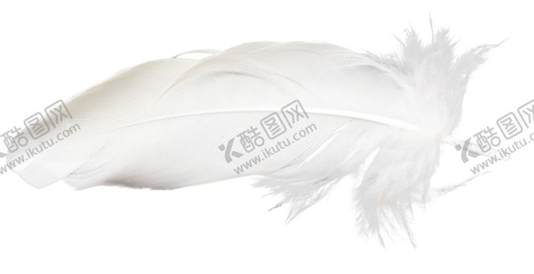编号：57309409270201009347【酷图网】源文件下载-白色羽毛漂浮素材