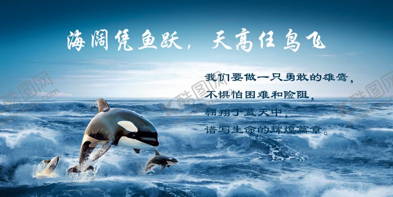 编号：10144510100738272433【酷图网】源文件下载-办公室展板