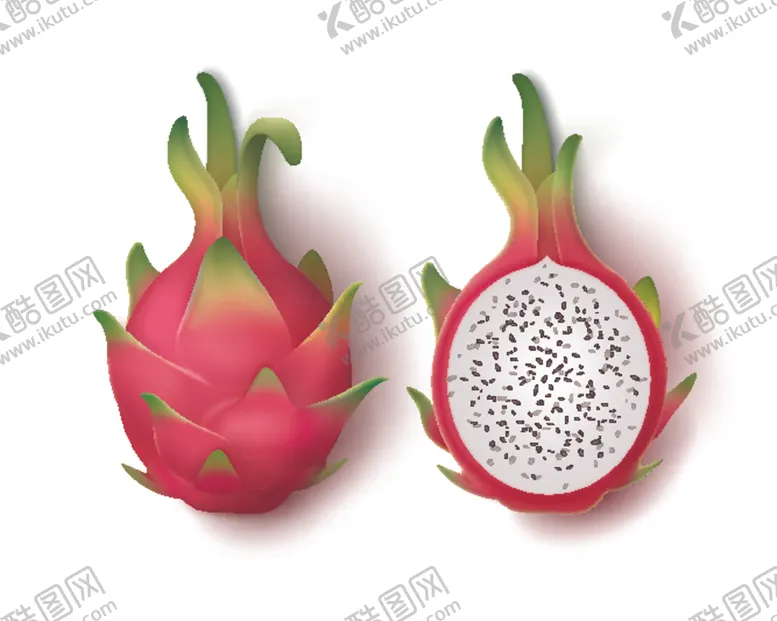 编号：41319606252237296597【酷图网】源文件下载-火龙果水果蔬菜