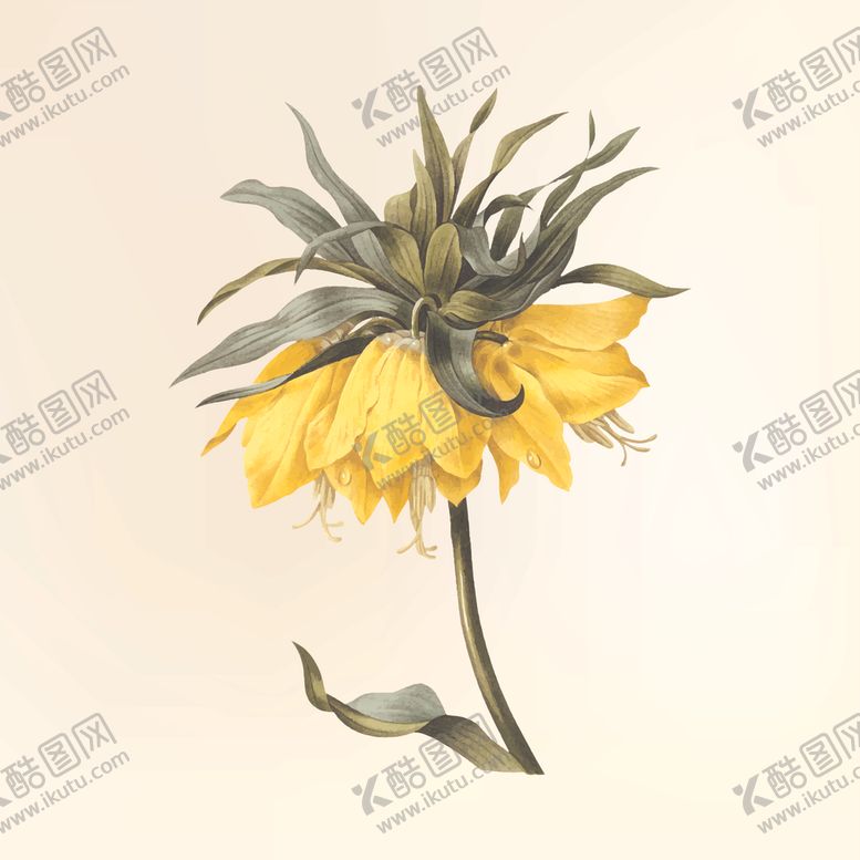 编号：23125310261749463106【酷图网】源文件下载-花纹