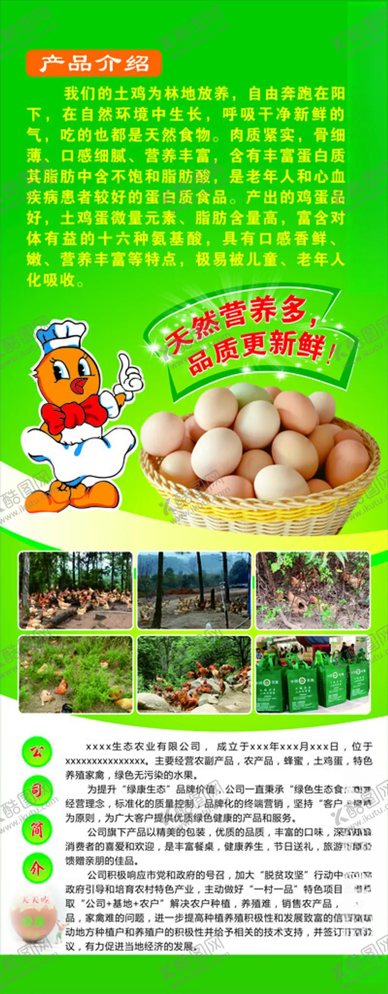 编号：50256502172349561507【酷图网】源文件下载-土鸡展架