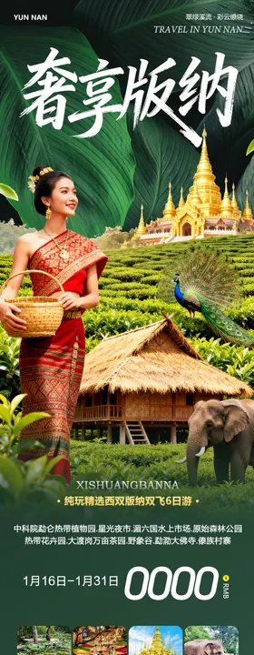 云南西双版纳勐泐傣族野象谷奢享