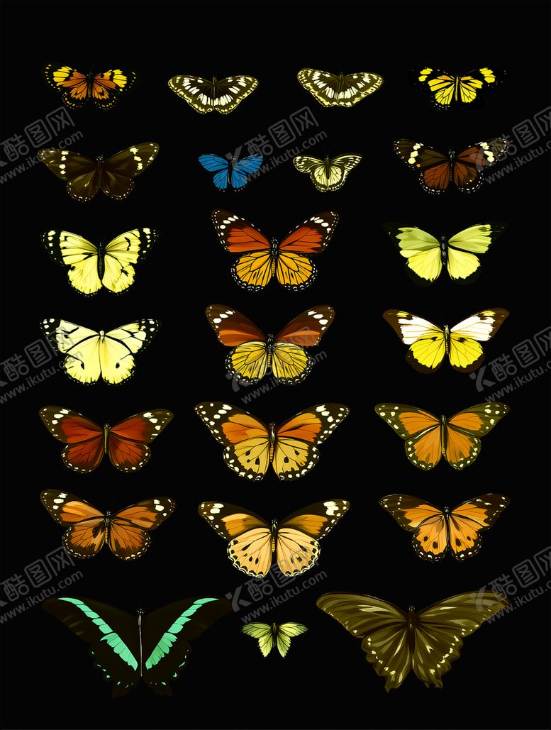 编号：61627704030334367537【酷图网】源文件下载-多彩蝴蝶集合展示