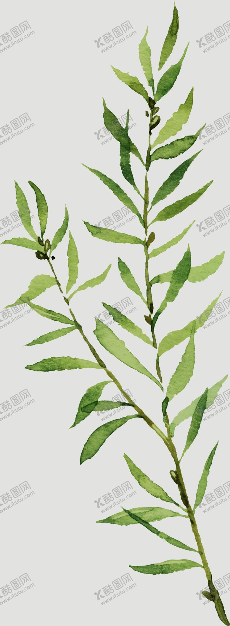 编号：68126810162357174532【酷图网】源文件下载-植物叶子