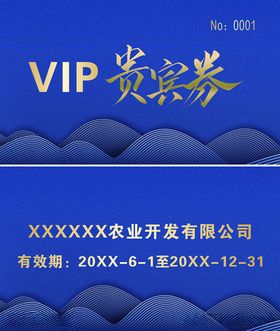 VIP贵宾券优惠券贵宾卡