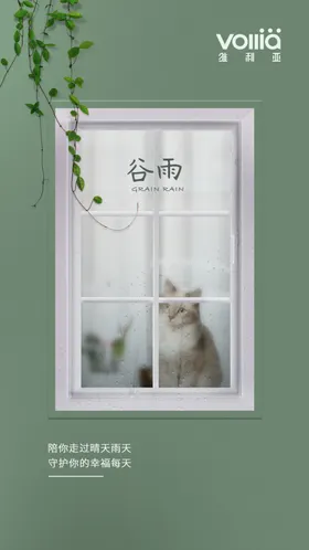 谷雨宠物24节气猫咪海报