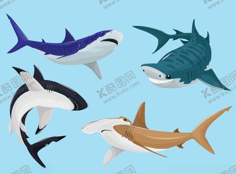 编号：27873009160054317201【酷图网】源文件下载-鲨鱼矢量素材