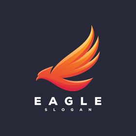 雄鹰LOGO