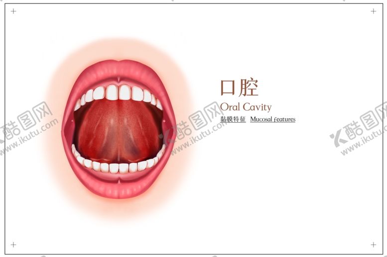 编号：44980505060419441681【酷图网】源文件下载-口腔构造社会公益展板素材