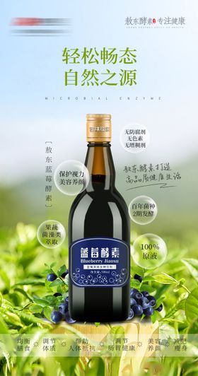 酵素蓝莓产品海报