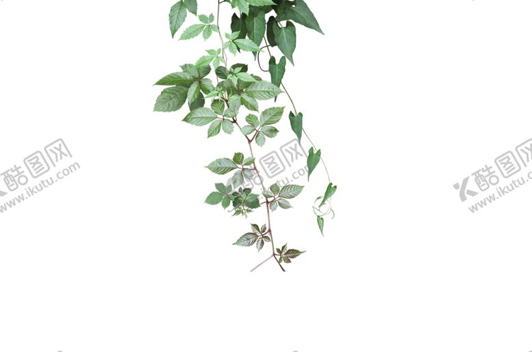 编号：99826210091135343467【酷图网】源文件下载-绿色背景