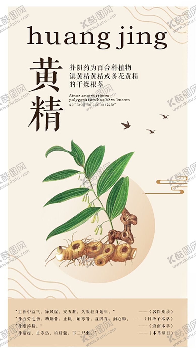 编号：55551204242030535821【酷图网】源文件下载-黄精海报