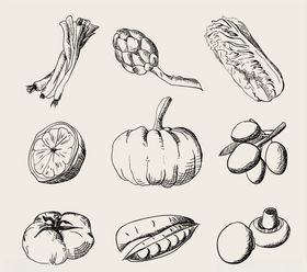 矢量手绘蔬菜图标