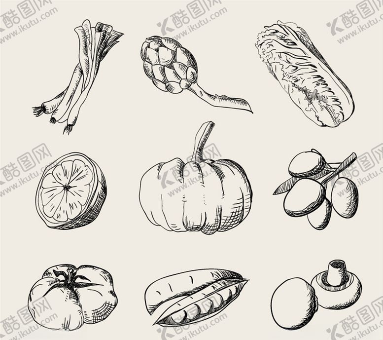 编号：41106710300501436898【酷图网】源文件下载-矢量手绘蔬菜图标