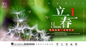 立春海报嫩绿节气柳树微信
