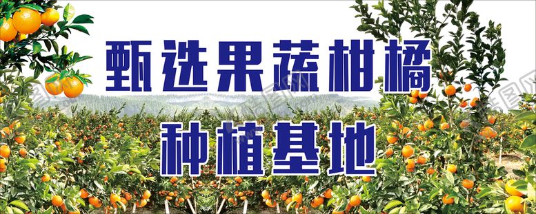 编号：95064209190946054176【酷图网】源文件下载-桔子背景