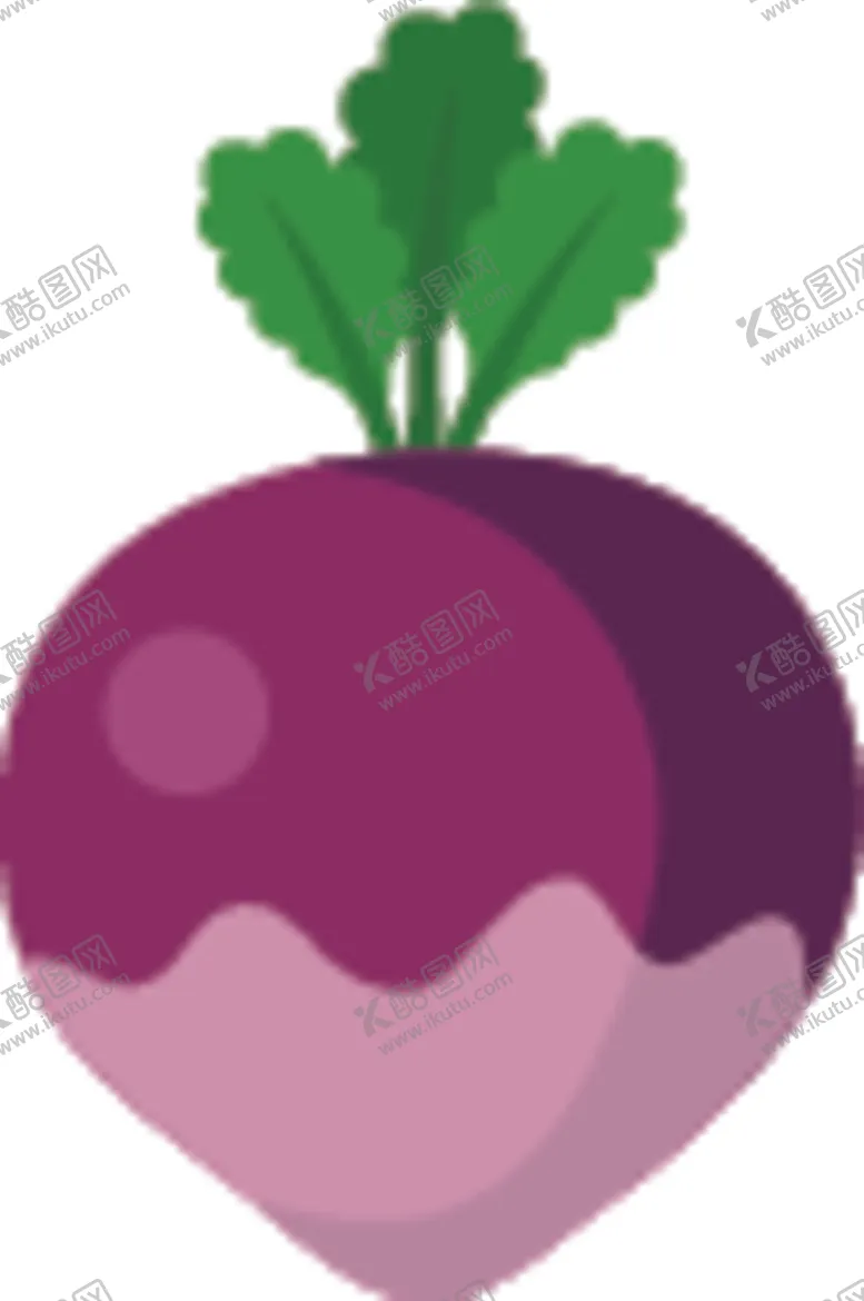 编号：18686605132338124941【酷图网】源文件下载-水萝卜