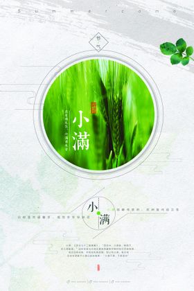 小满地产节气麦子节日喝茶
